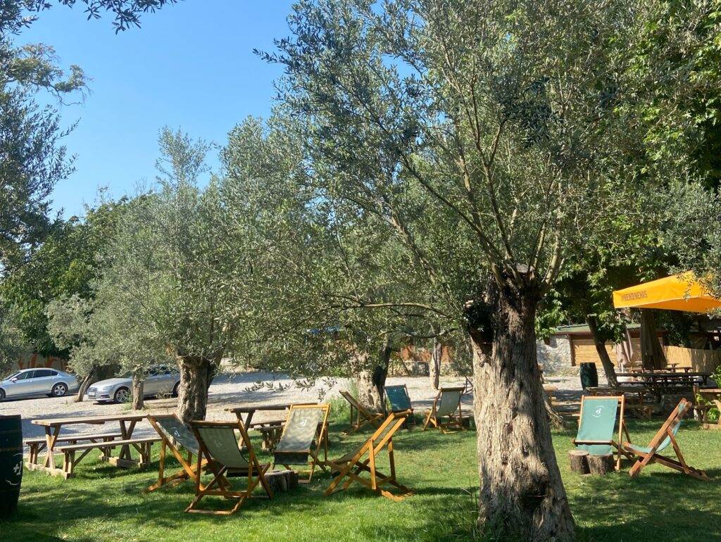 arsa 1024x770 - Kuzey Ege Mekanlar